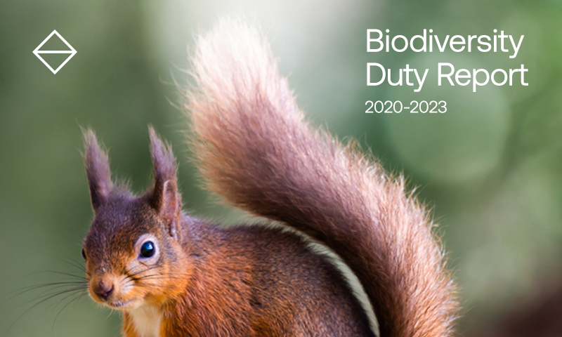 Biodiversity Report 
