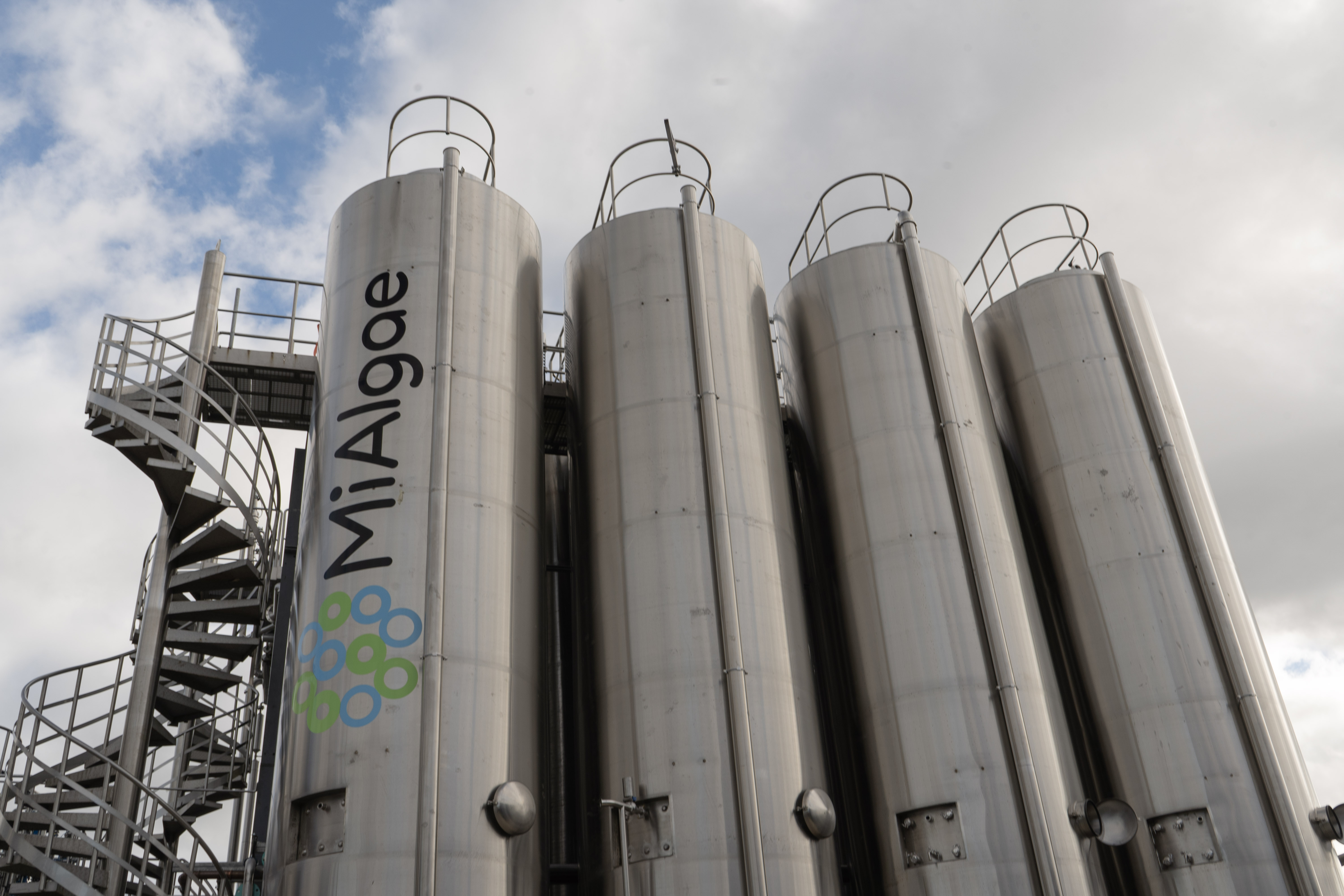Mialgae bioreactors